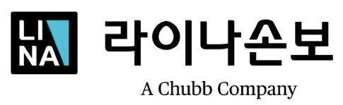 라이나손보